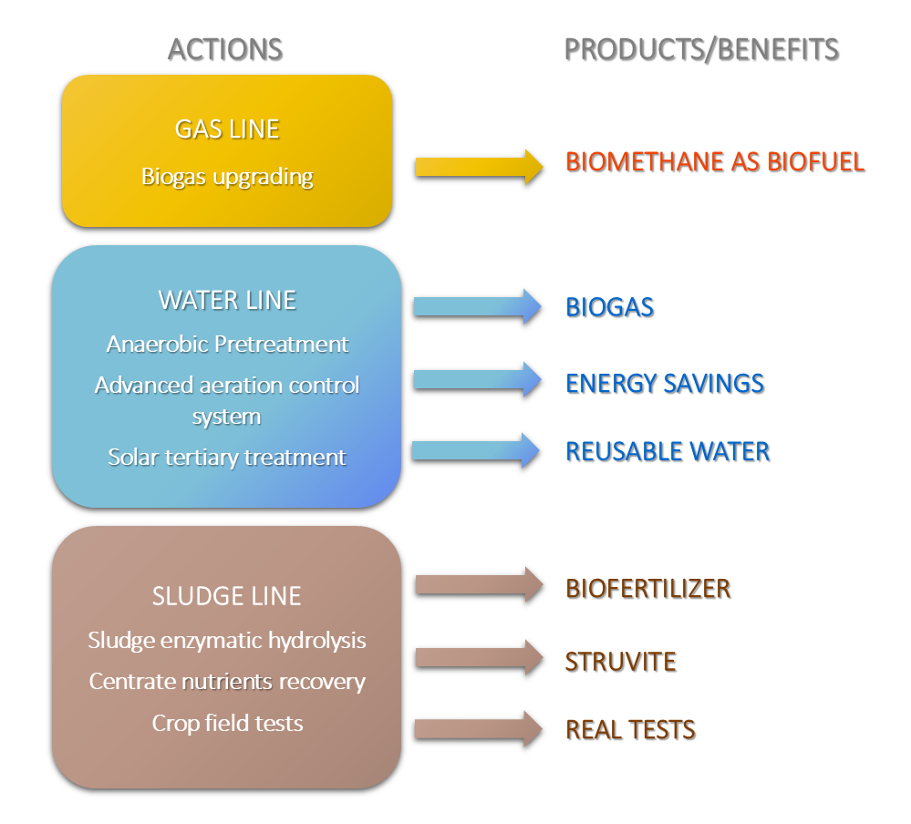 Lines of action and products