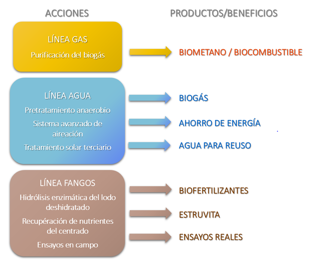Líneas de acción y productos